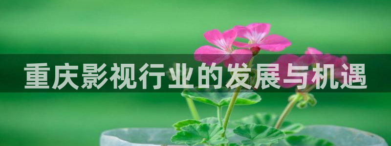 被窝影院在线看：重庆影视行业的发展与机遇